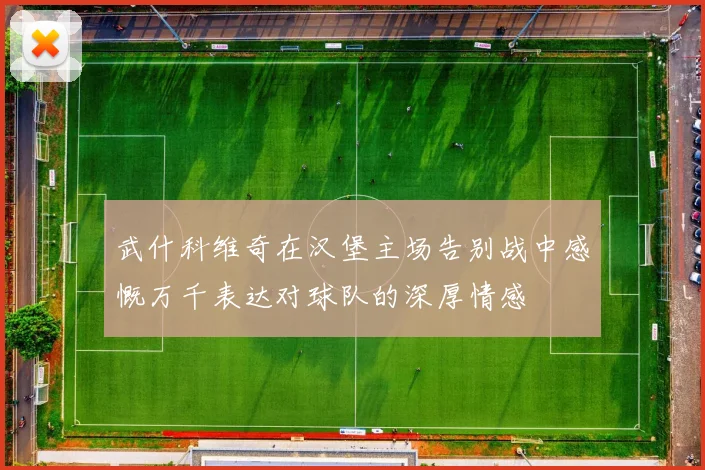 武什科维奇在汉堡主场告别战中感慨万千表达对球队的深厚情感
