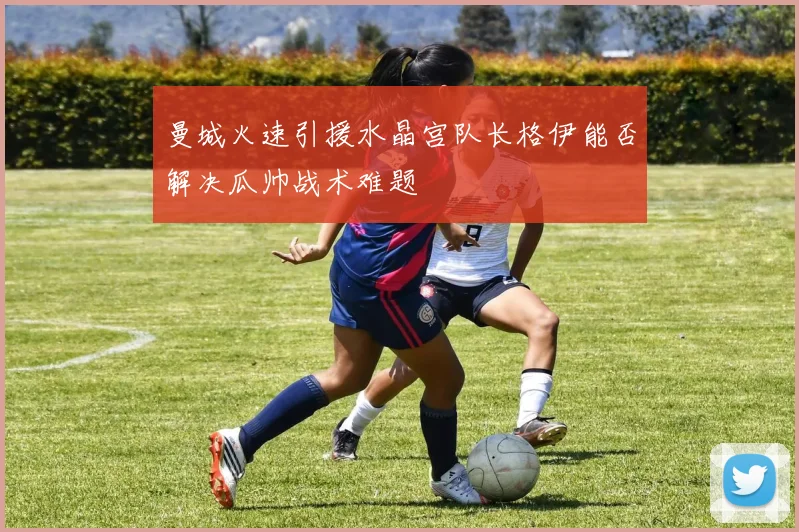 曼城火速引援水晶宫队长格伊能否解决瓜帅战术难题