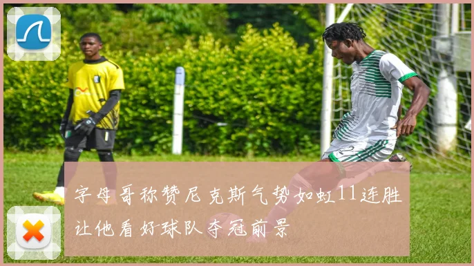 字母哥称赞尼克斯气势如虹11连胜让他看好球队夺冠前景
