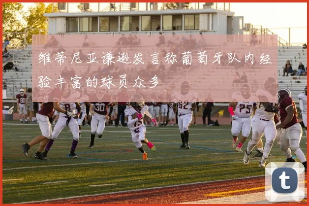 维蒂尼亚谦逊发言称葡萄牙队内经验丰富的球员众多